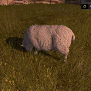 farming-simulator-17-moutons-animaux