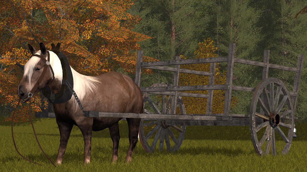 pony FS17 1