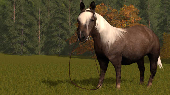 pony-FS17-2