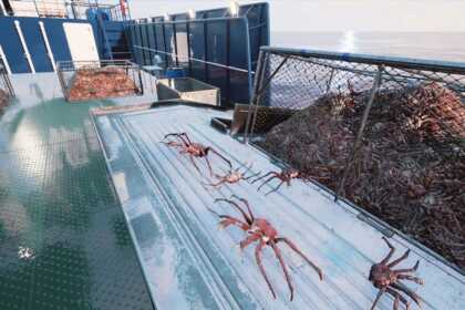 fishing-barents-sea-crab-1