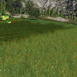 herbe 2 fs19