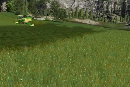 herbe 2 fs19