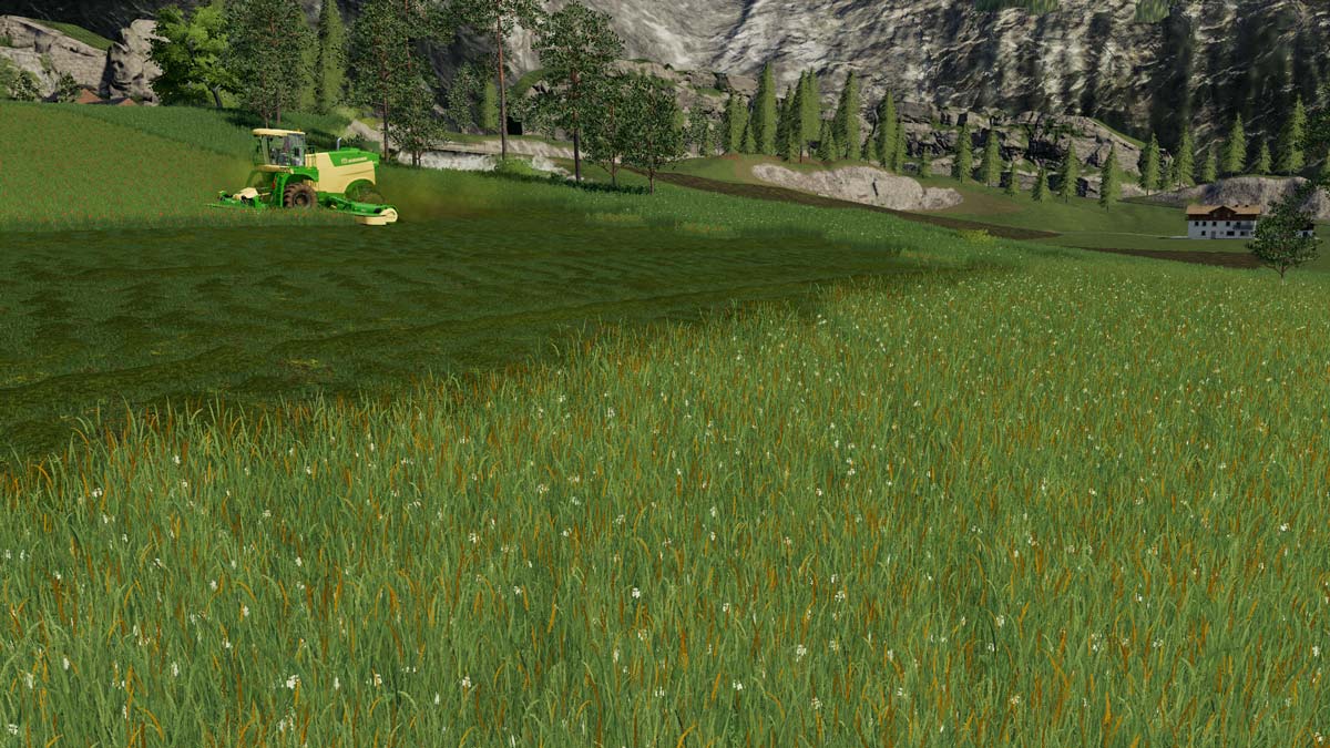 grass 2 fs19