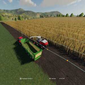 courseplay6 ensilage fs19
