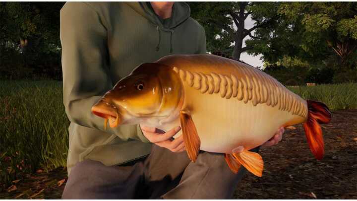 fishing sim world pro tour carp 4