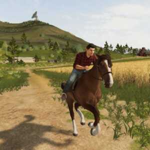 farming simulator 20 switch 4