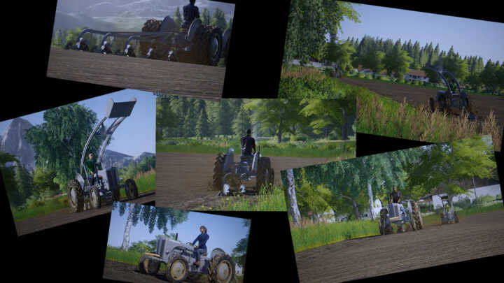 pack fergusson fs19 03