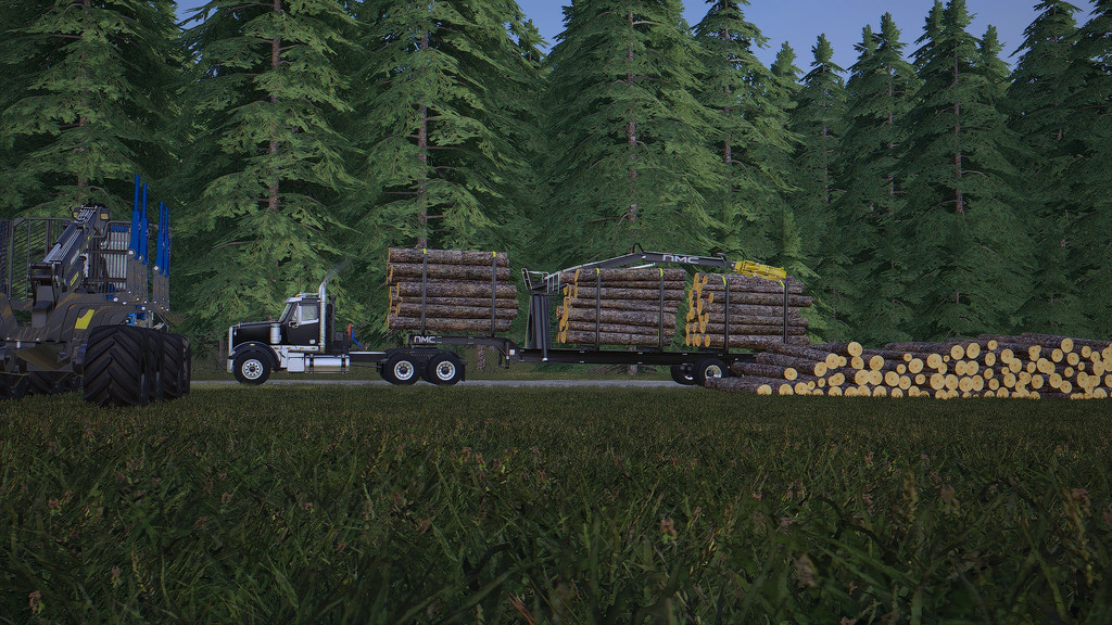 remorque bois fs19 01