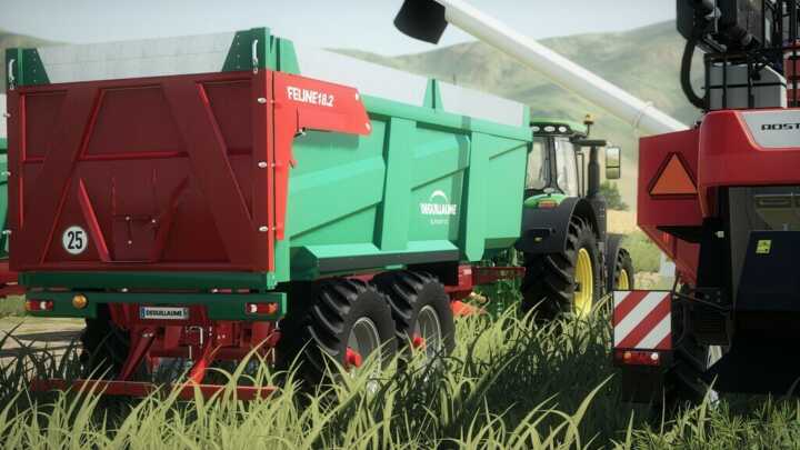 feline182 fs19 04