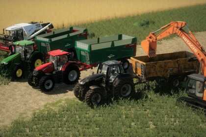 feline182 fs19 05