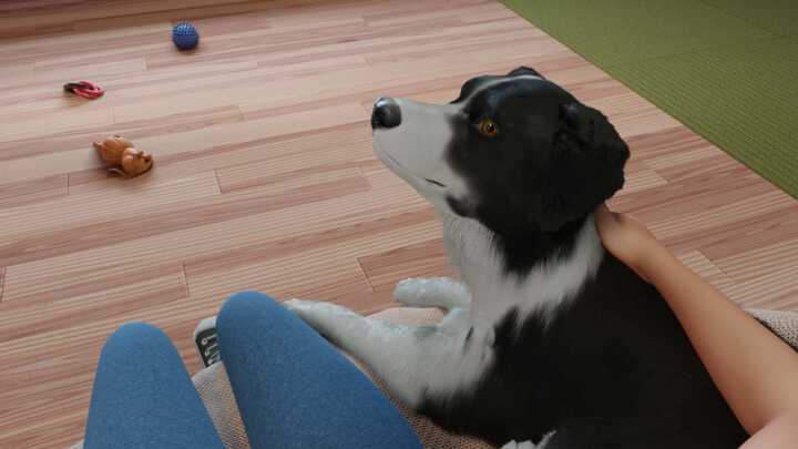 Dog Trainer Screenshot 3