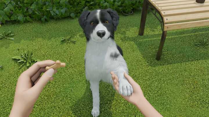 Dog Trainer Screenshot 4