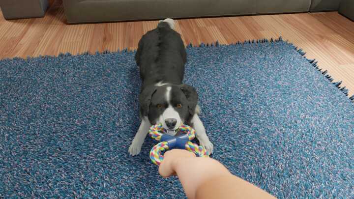 Dog Trainer Screenshot 7