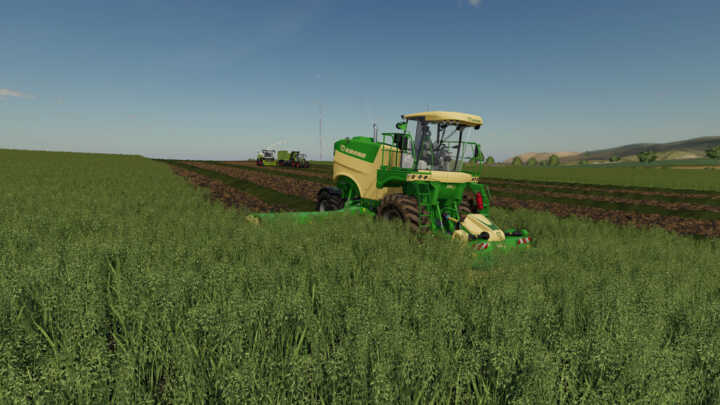 immature cereals fs19 02