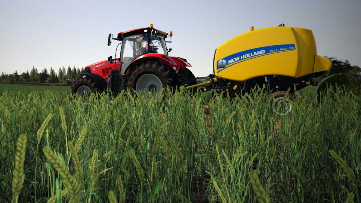 cereales immatures fs19 03