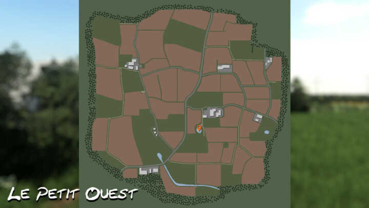 petit ouest fs19 02