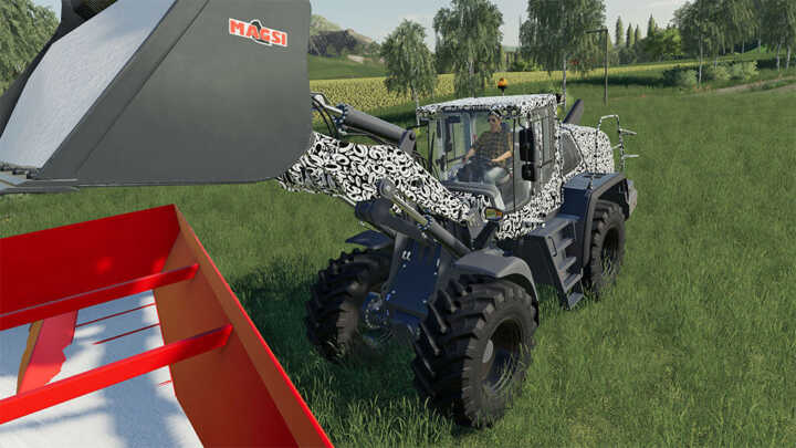 torion fs19