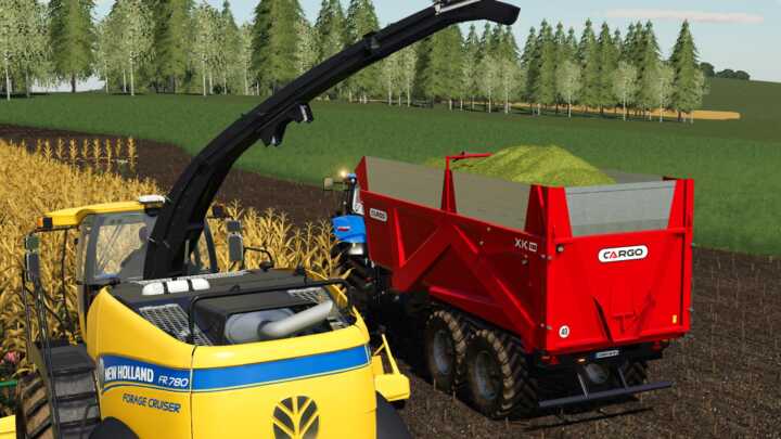 cargo xk18 fs19 promodis 03