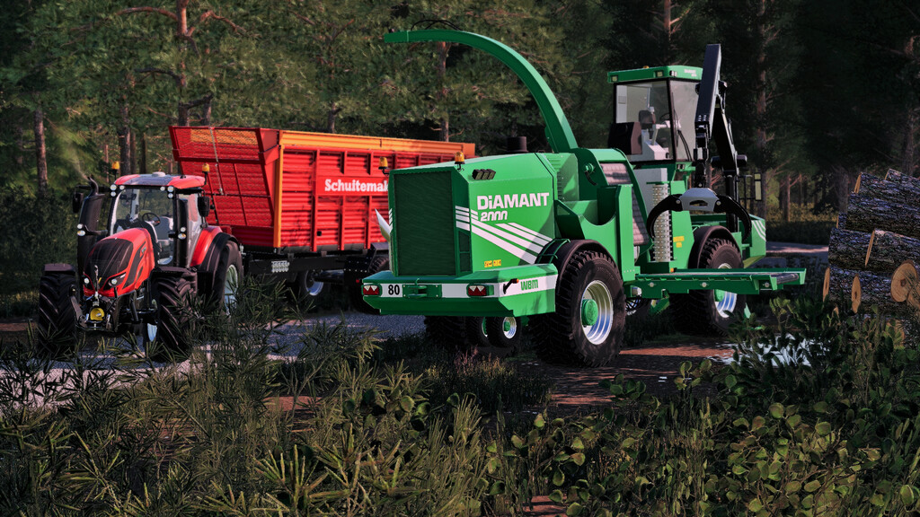 diamant 2000 fs19 01