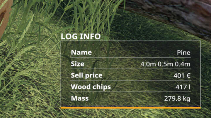 info display fs19 02