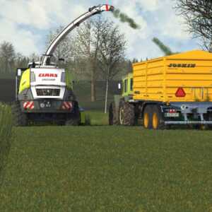 cattle and crops silage