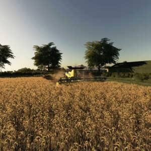 oakhill fs19 03