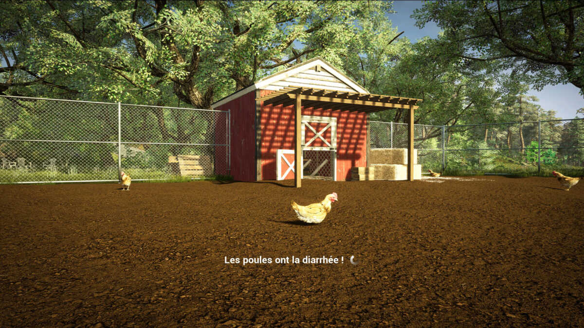 diharee poule