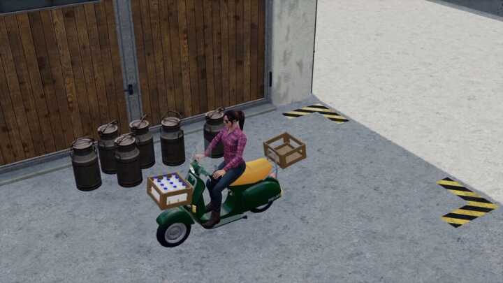 vespa fs19 02