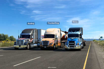 ATS multiplayer