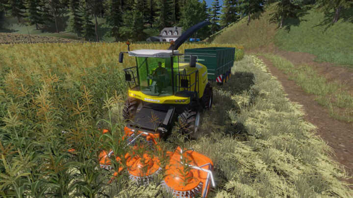 Real farm gold edition 11