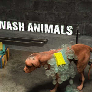 animal shelter simulator 001