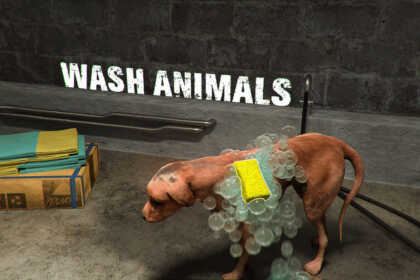 animal shelter simulator 001