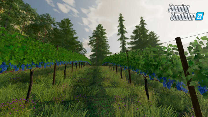 olive vines fs22 03