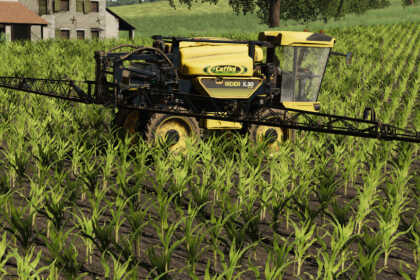 caffini fs19 02