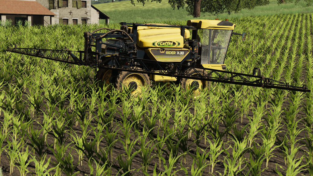 caffini fs19 02