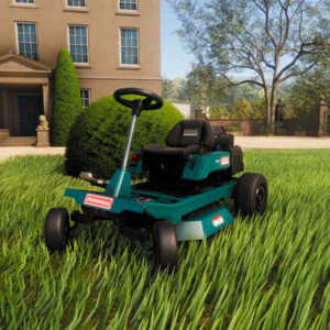 lawn mowing patterson