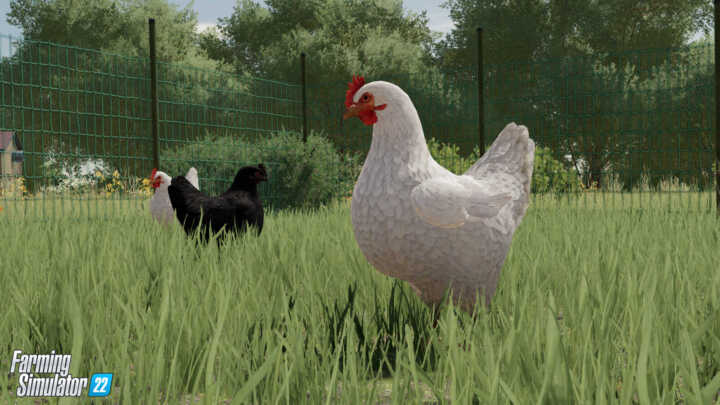 FS22 Chicken 1 in