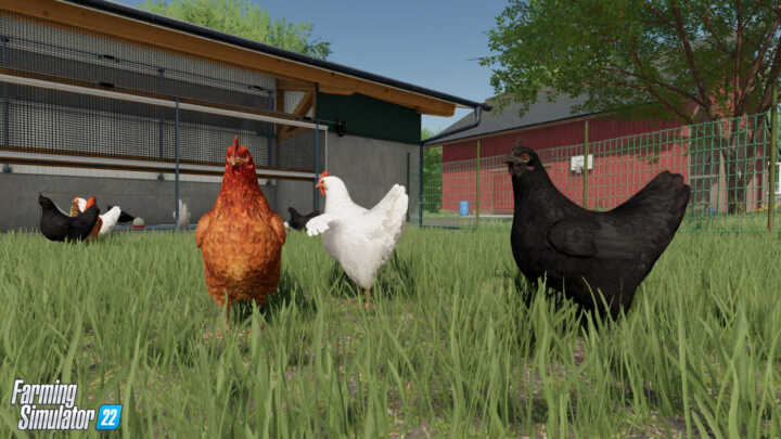 FS22 Chicken 2 in