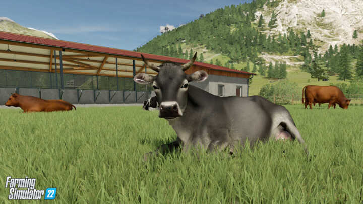 FS22 Cow 1 in