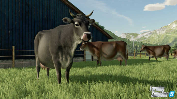 FS22 Cow 3 in