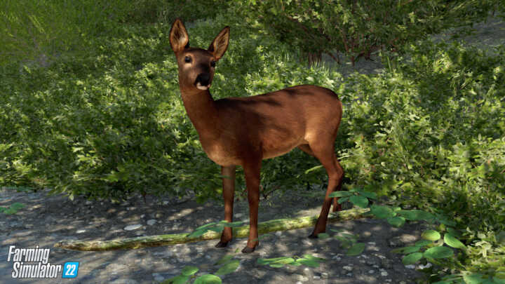 FS22 Deer in