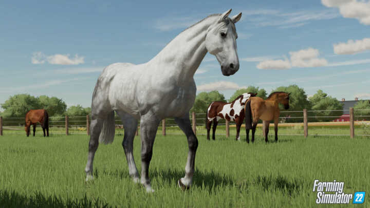FS22 Horses 1 en