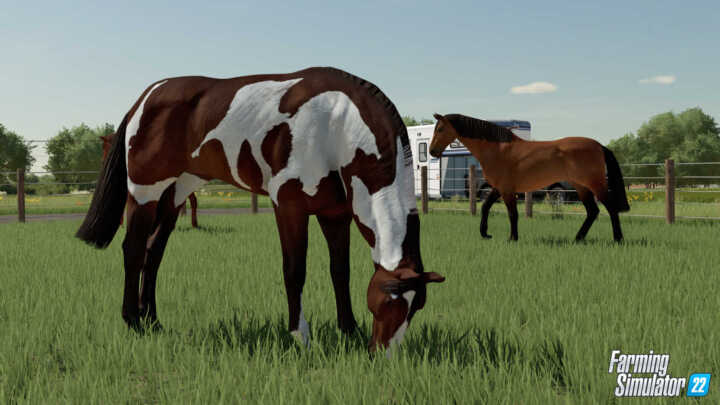 FS22 Horses 2 en