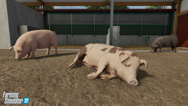 FS22 Pigs 2 en