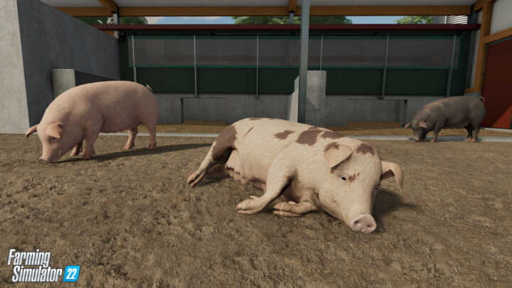 FS22 Pigs 2 in