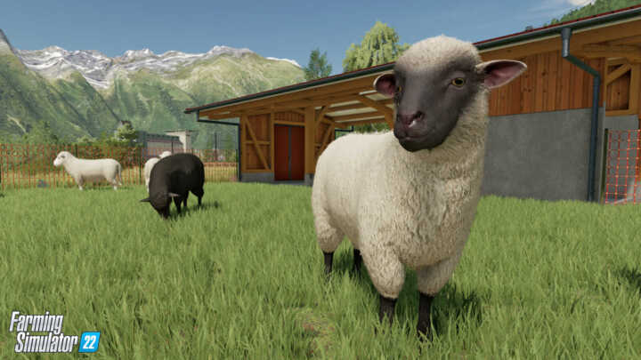 FS22 Sheep 1 in