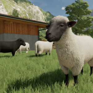 FS22 Sheep 2 in