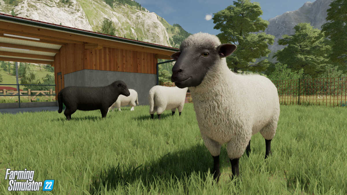 Un Trailer Pour Montrer Les Animaux De Farming Simulator 22