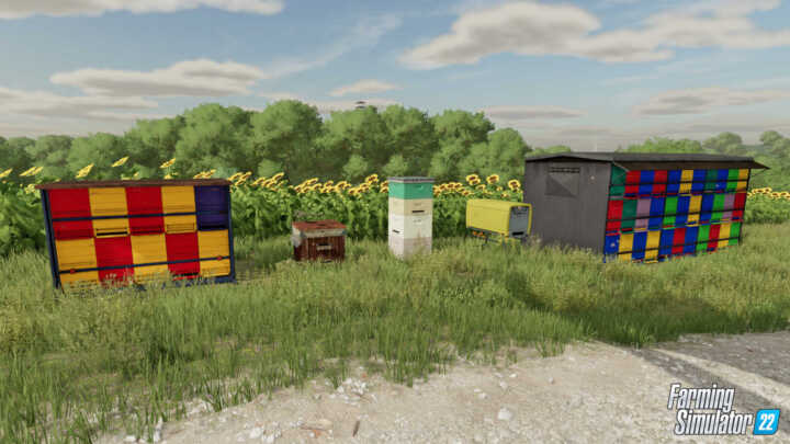 fs22 bees 006
