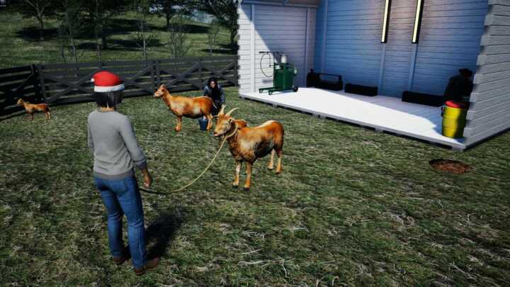 ranch sim goat